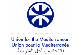 UfM Schneider Electric University: Arabic